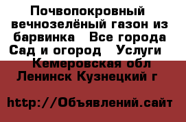 Почвопокровный, вечнозелёный газон из барвинка - Все города Сад и огород » Услуги   . Кемеровская обл.,Ленинск-Кузнецкий г.